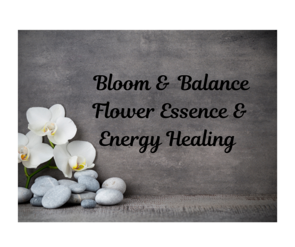 Bloom & Balance- Flower Essence & Energy Healing Session